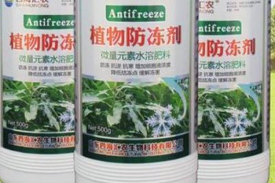 什么是植物防凍劑，是一類植物葉面肥