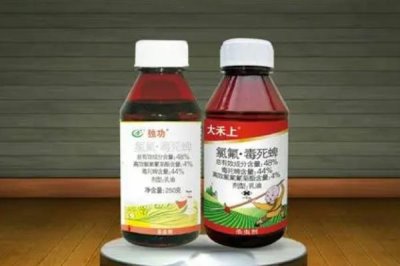甜瓜葉枯病如何用藥，可選擇百菌清或者波爾多液
