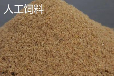 觀賞魚的飼料種類，天然餌料或人工飼料都適用