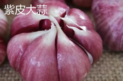 甘肅省民樂縣的特產(chǎn)，產(chǎn)出的蘋果梨具有中國一代梨王的美譽(yù)