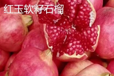 紅玉軟籽石榴的產(chǎn)地，四川攀西地區(qū)為主產(chǎn)區(qū)