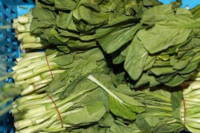 保存綠葉蔬菜的方法，扎捆后將根部浸泡在水中能保存3-4天
