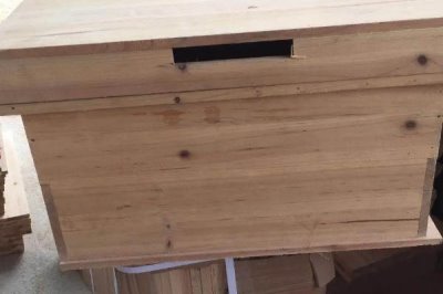 南方如何誘蜂及注意事項，利用蜂蠟可吸引偵查蜂