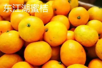 湖南臨湘的土特產(chǎn)，包括龍窖腐乳、龍窖醬菜、臨湘黑茶等種類