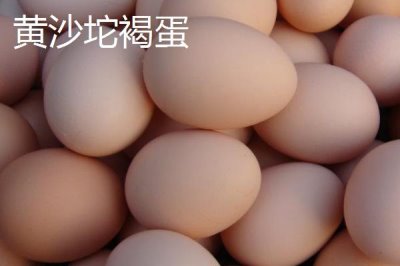 我國(guó)雞蛋產(chǎn)地，主要集中在華東、華北以及東北等地區(qū)