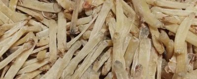 湛江沙蟲(chóng)干的價(jià)格，總體價(jià)格為500-800元左右/斤