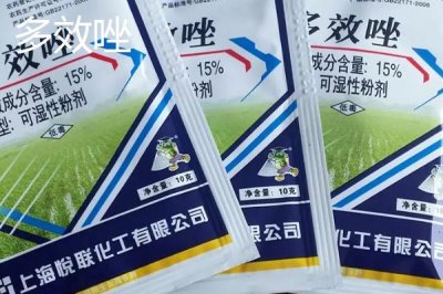 矮壯素與多效唑的區(qū)別，矮壯素溶于水、多效唑基本不溶于水