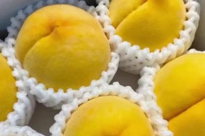 黑桃皇后的價(jià)格，品種不同價(jià)格也不同