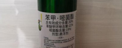 苯甲嘧菌酯治什么病，治療西瓜的炭疽病，蔓枯病效果好