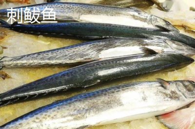 刺鲅魚的市場價，市場價在5-35元一斤