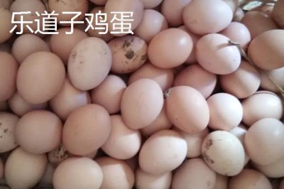 我國(guó)雞蛋產(chǎn)地，主要集中在華東、華北以及東北等地區(qū)