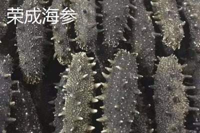 山東榮成的特產(chǎn)，榮成海參堪稱參中之王