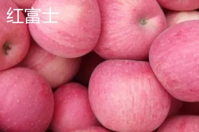 常見(jiàn)的蘋(píng)果品種，紅富士、金帥、紅將軍等品種較常見(jiàn)