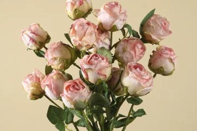 21朵玫瑰的花語(yǔ)，不同顏色的玫瑰花語(yǔ)不同