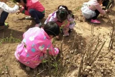 清明節(jié)有哪些風(fēng)俗，各地風(fēng)俗不一樣