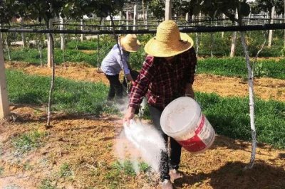 鈣鎂磷肥的使用方法，適合于作基肥深施