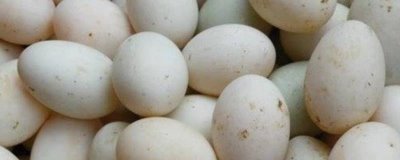 黑龍江五大連池市的特產(chǎn)，連池鴨蛋適合饋贈(zèng)親友