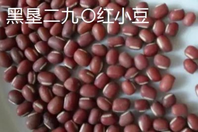 黑龍江省綏濱縣的特產(chǎn)，黑墾二九〇紅小豆是全國(guó)農(nóng)產(chǎn)品地理標(biāo)志