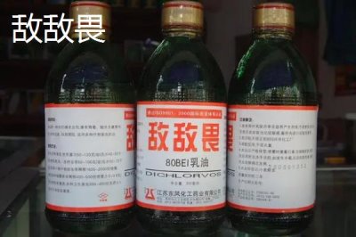 荔枝種植常用哪些農(nóng)藥，不同類型的農(nóng)藥針對性不同