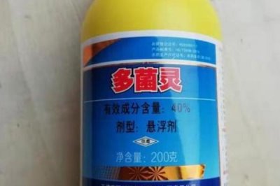多菌靈可用于土壤嗎，多菌靈可用于土壤