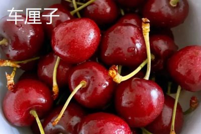車厘子和櫻桃的區(qū)別，產(chǎn)地和價格有明顯的區(qū)別