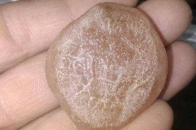 青魚石在哪個(gè)部位，通常在青魚牙齒上方的枕骨上