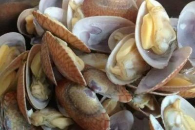已經(jīng)死亡的花甲能否食用，花甲死亡后會滋生細菌不宜食用