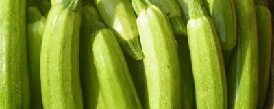 如何避免西葫蘆落花落果，溫度、光照都需要控制好