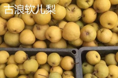 甘肅省武威市的水果特產(chǎn)，涼州皇冠梨栽植歷史悠久