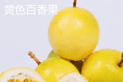 百香果的產(chǎn)地，廣植于熱帶和亞熱帶地區(qū)