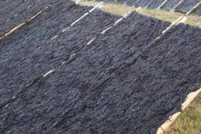 霞浦紫菜的產(chǎn)地，產(chǎn)于寧德市霞浦縣