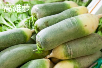 安徽省蕭縣的特產(chǎn)，高灘蘿卜久負盛名