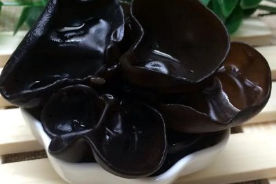 農(nóng)村種植什么食用菌具有較高的效益，香菇、木耳、平菇等品種均為不錯的選擇