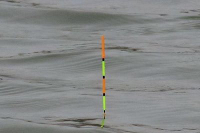 野釣的意思，是指在天然水域中作釣
