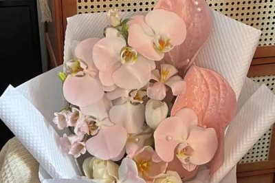 蝴蝶蘭的花語，寓意事業(yè)發(fā)達、事事順心等