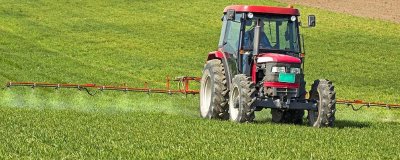 甲基二磺隆為什么易發(fā)生藥害，用量掌握不準(zhǔn)或盲目混用會(huì)導(dǎo)致