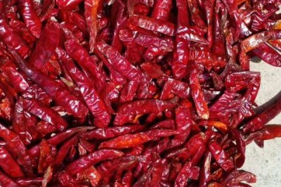 印度椒的分類，可以分為S17、S12和S4三類