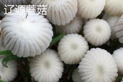吉林遼源的特產(chǎn)，東遼黑豬是中國國家地理標(biāo)志產(chǎn)品