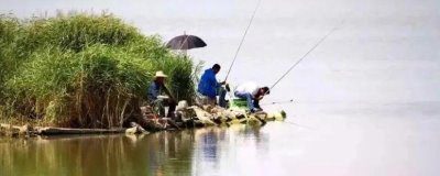 初夏釣魚技巧，首選釣點(diǎn)是水深1-2米且有水草的淺灘