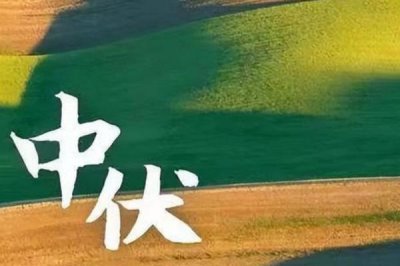 中伏與末伏哪個伏更熱，中伏最熱