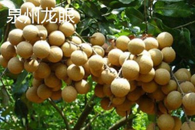 福建南安市的特產，洪瀨雞爪是當地傳統(tǒng)風味小吃