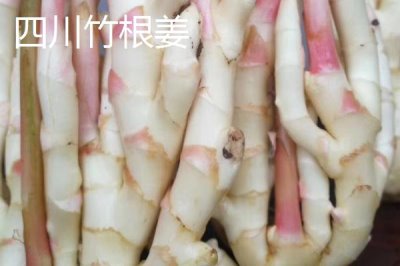生姜種子的價格，一斤需要5-15元左右