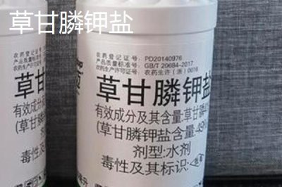 草甘膦鉀鹽和銨鹽的區(qū)別，制作方式和除草效果均不同