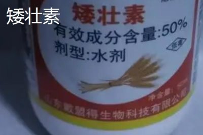 矮壯素和多效唑的區(qū)別，應用范圍、施用方法均不同