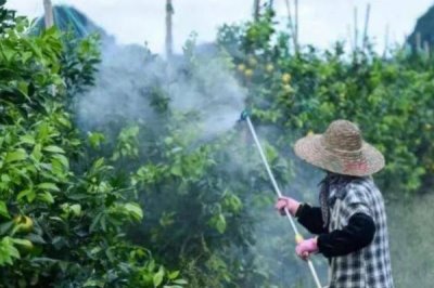 如何正確施用微生物農藥，要均勻噴灑