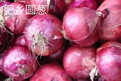 河北肥鄉(xiāng)的特產(chǎn)，削割是當(dāng)?shù)鬲氂械膫鹘y(tǒng)名吃