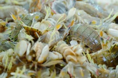 鮮蝦的保存方法，可使用塑料瓶、保鮮盒、保鮮袋進(jìn)行保存