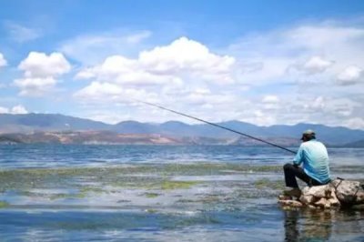 釣黑魚使用的線組，不宜用調(diào)性過硬的竿