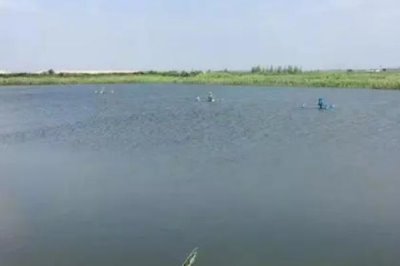 怎么處理渾濁的養(yǎng)殖水體，可在天氣晴朗時潑灑凈水劑