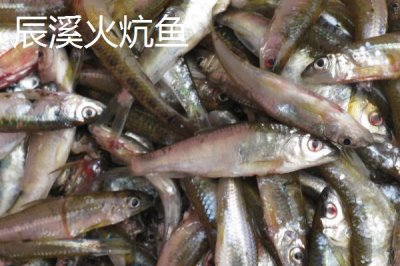 懷化辰溪的特產(chǎn)，當?shù)赜筒璺N植面積非常廣